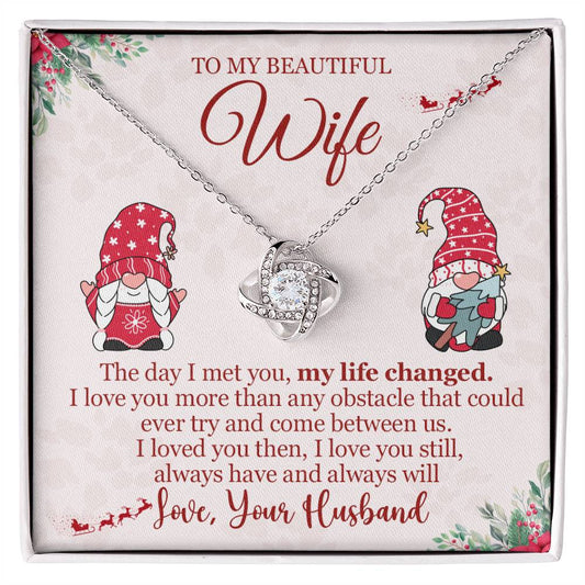 To My Wife: My Life Changed the Day I Met You